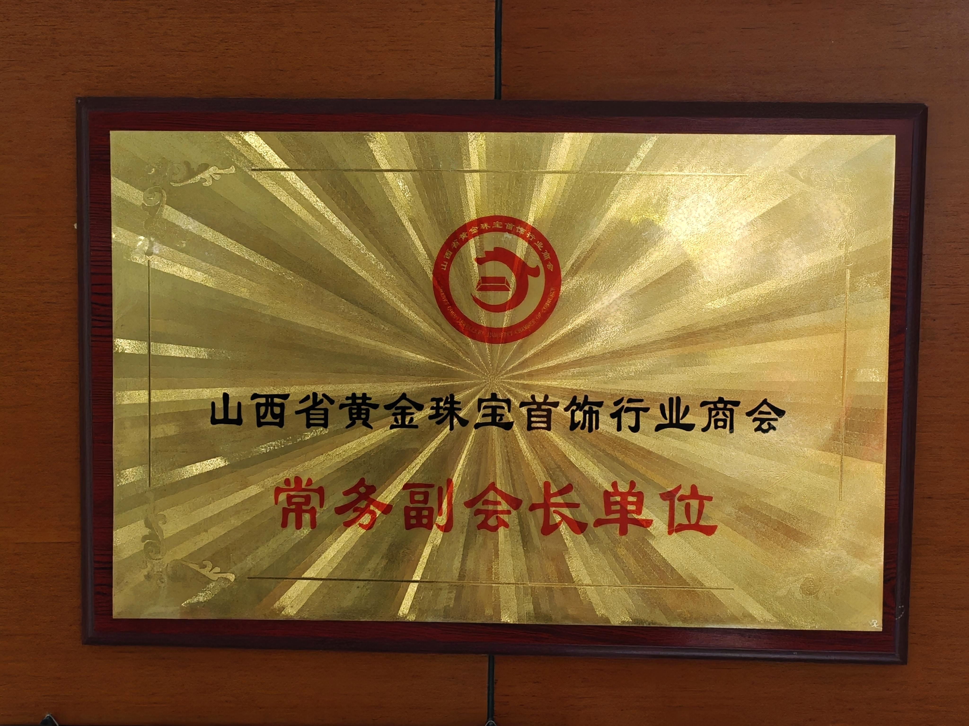 常务副会长单位